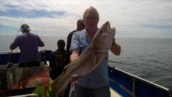 16 lb 8 oz Cod by Stephen Wake