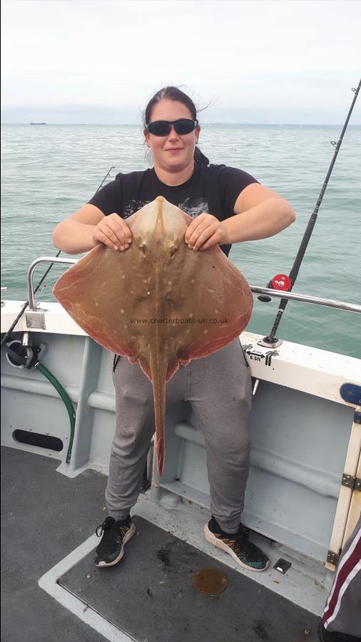 9 lb Small-Eyed Ray by Kristal