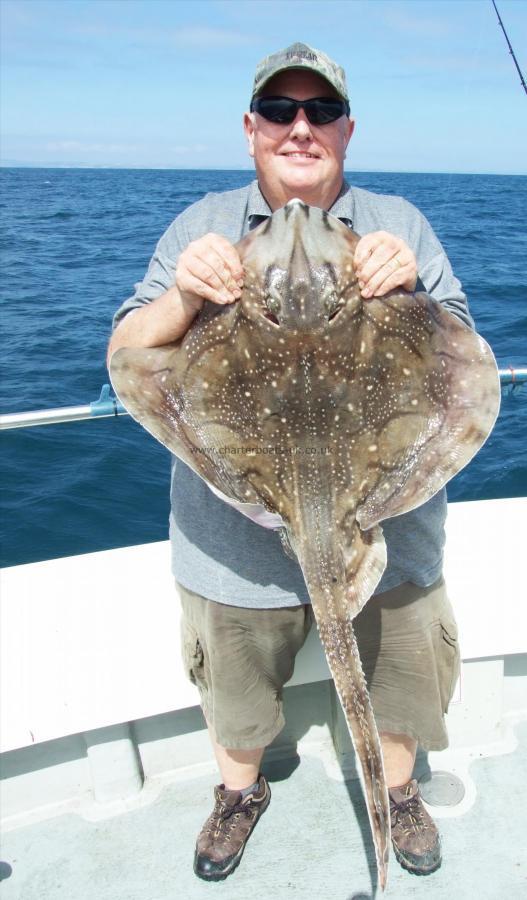 15 lb 4 oz Undulate Ray by Paul Milkins