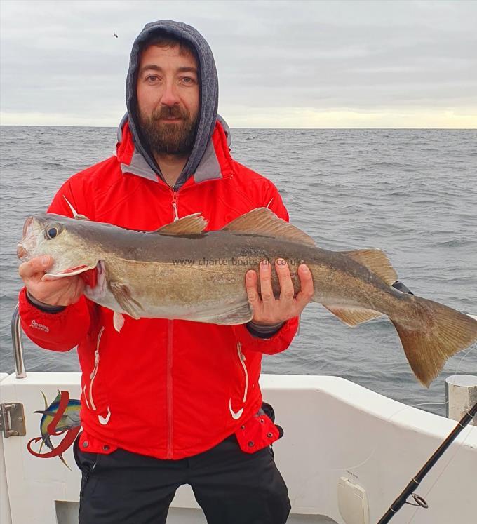 11 lb 8 oz Pollock by Unknown