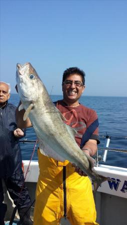 14 lb Pollock by Tabish Aiman