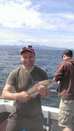 3 lb 8 oz Cod by Unknown