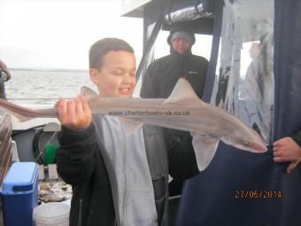 5 lb 9 oz Smooth-hound by Unknown