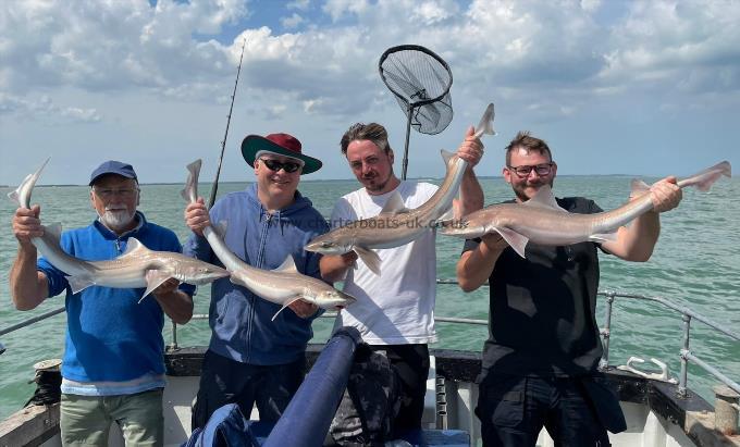 7 lb Smooth-hound by Unknown