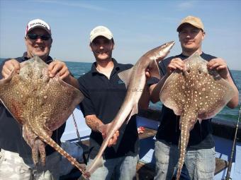 8 lb Smooth-hound by Martin