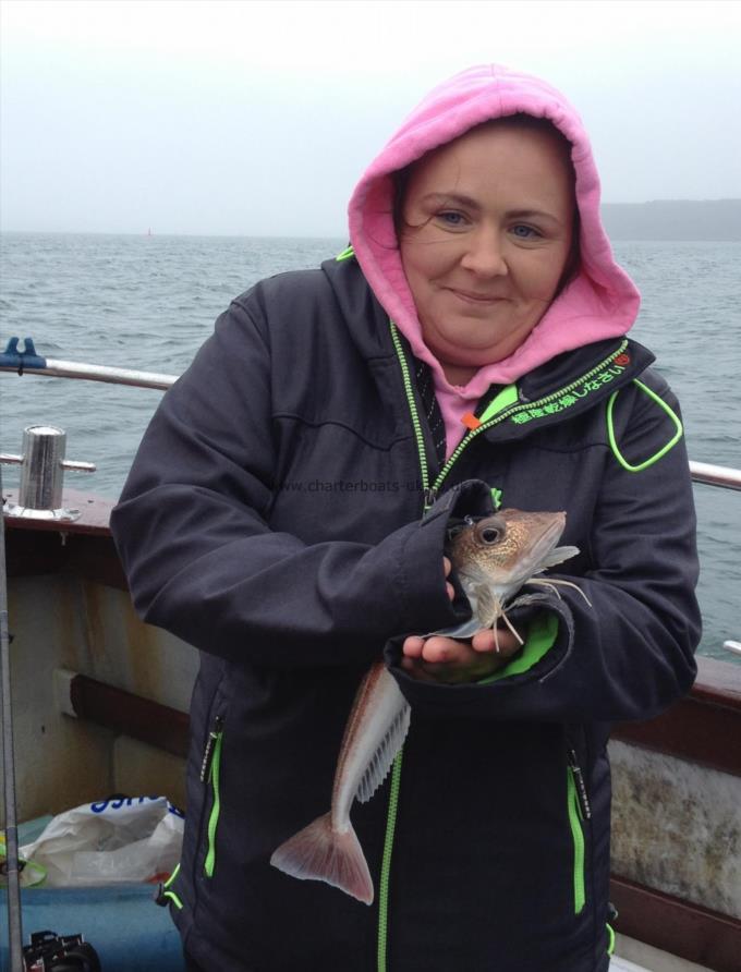 1 lb Grey Gurnard by Mel