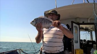 3 lb 8 oz Black Sea Bream by Stephen Wake