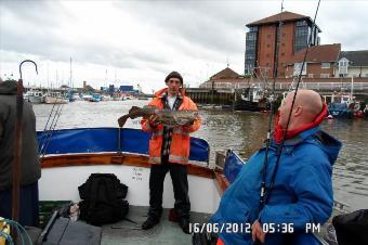 16 lb Cod by Unknown