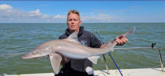 14 lb 1 oz Smooth-hound by Alan