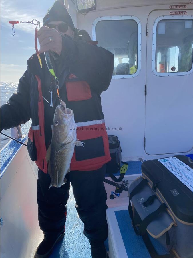 3 lb 8 oz Cod by Alan.