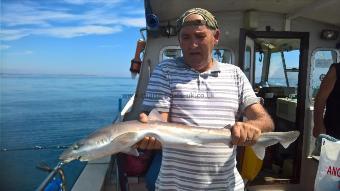 9 lb Smooth-hound (Common) by Stephen Wake