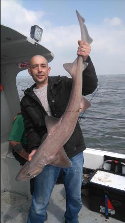 16 lb Starry Smooth-hound by Darren