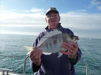 2 lb 6 oz Black Sea Bream by Tony Partridge