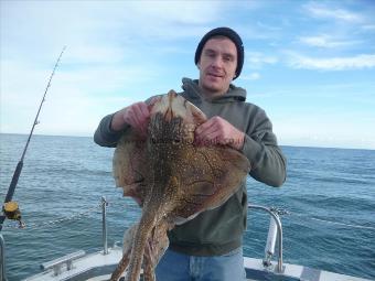 10 lb Undulate Ray by Mike