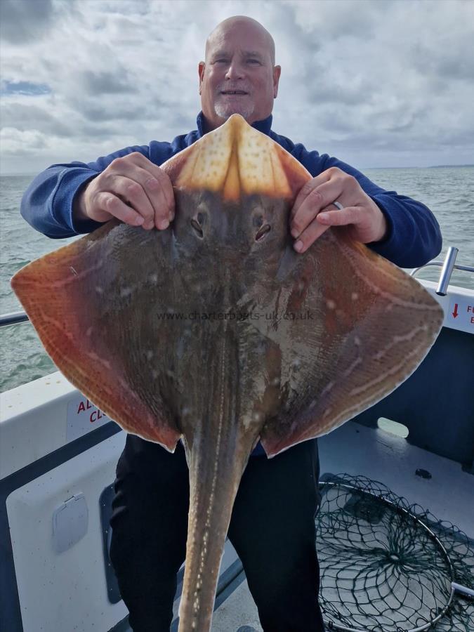6 lb Small-Eyed Ray by Unknown