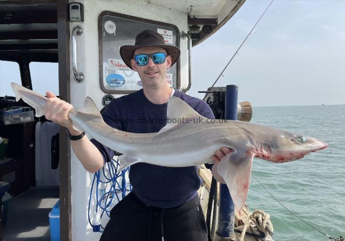 12 lb Smooth-hound (Common) by Unknown