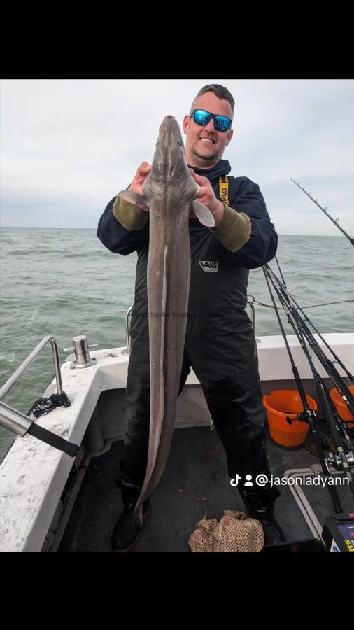 20 lb Conger Eel by Chairman steve