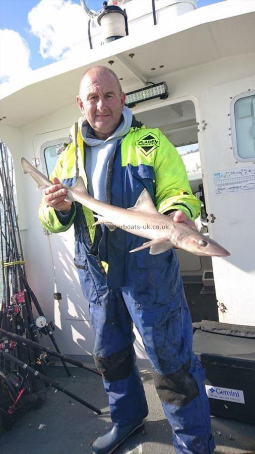 4 lb 5 oz Smooth-hound (Common) by Jason Parrott