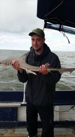 5 lb Smooth-hound by Unknown