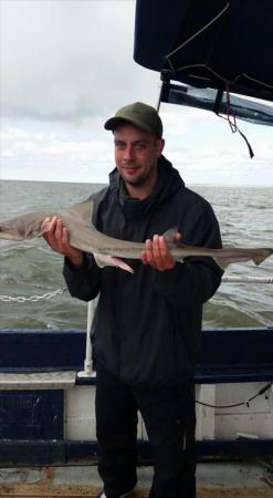 5 lb Smooth-hound (Common) by Unknown