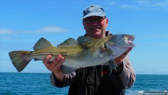 8 lb 6 oz Cod by roy bigg