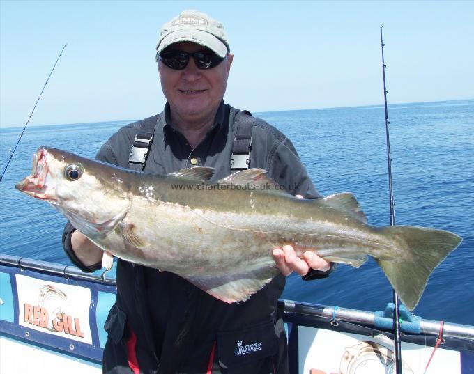 10 lb 13 oz Pollock by Keith Williams