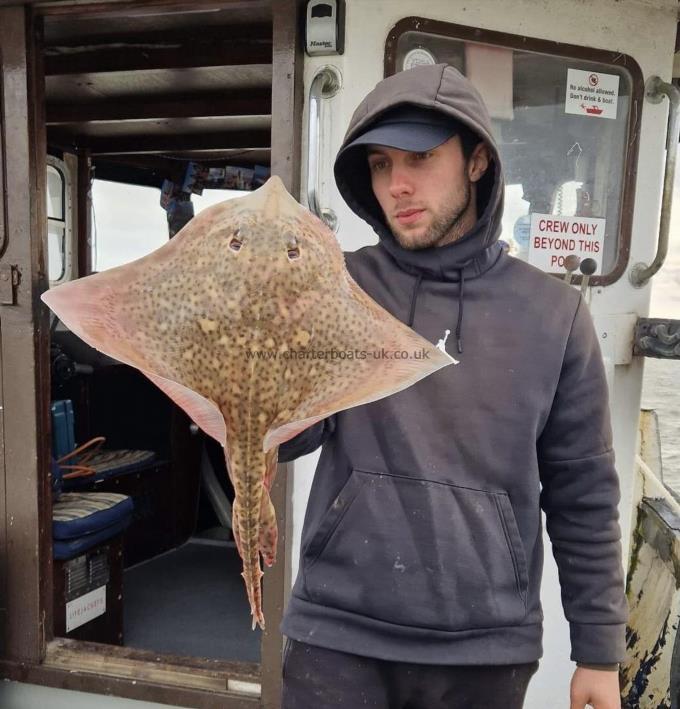 5 lb Thornback Ray by Unknown