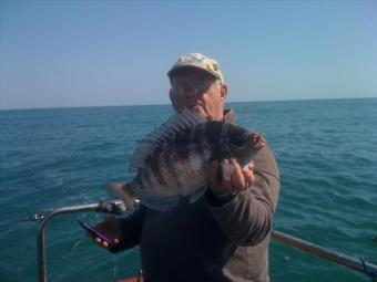 2 lb Black Sea Bream by Alec the Jock