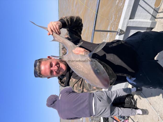 12 lb Thornback Ray by Unknown