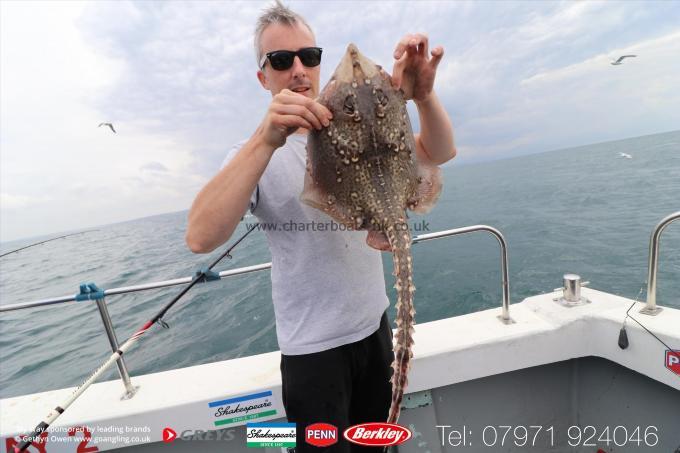 5 lb Thornback Ray by Adam