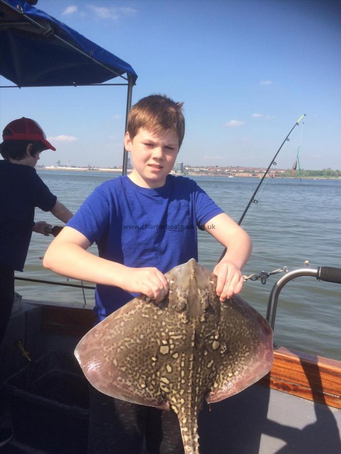 7 lb Thornback Ray by Ethan