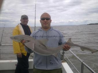 16 lb 8 oz Starry Smooth-hound by joel avaient