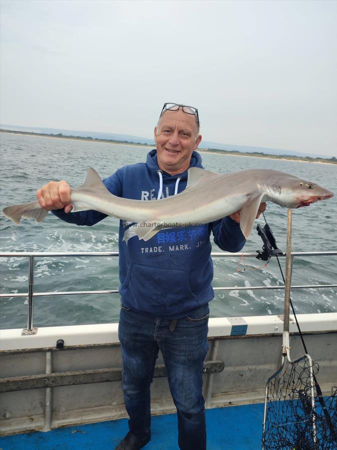 10 lb 8 oz Smooth-hound by Pete