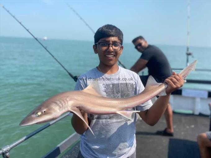 7 lb Smooth-hound (Common) by Unknown