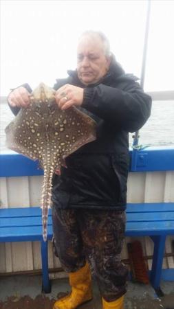 7 lb Thornback Ray by Unknown