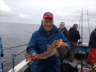 3 lb 8 oz Tub Gurnard by Sir Malcolm