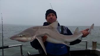 15 lb Starry Smooth-hound by Ian cozens