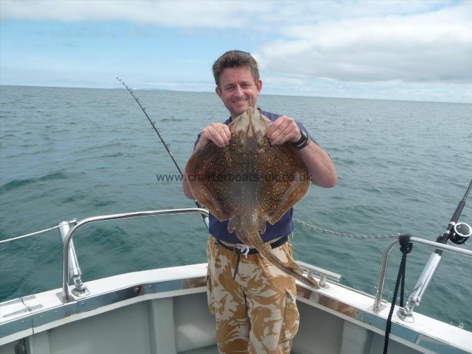 6 lb Undulate Ray by Unknown