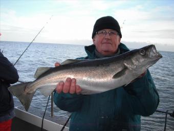 5 lb 12 oz Pollock by Eric Thakery from Hull