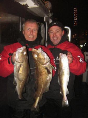 3 lb 15 oz Cod by Unknown