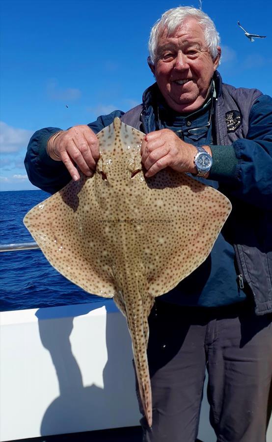 5 lb Blonde Ray by Roy