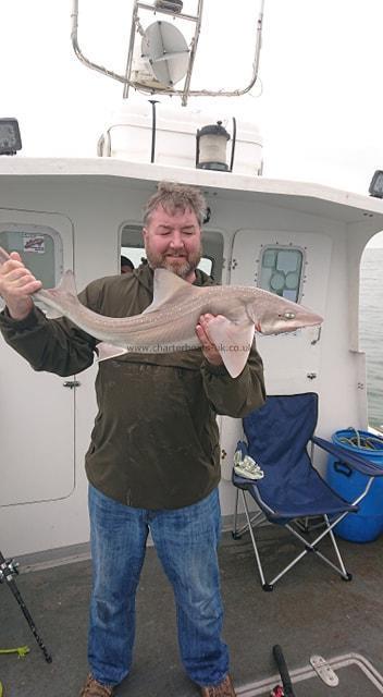 11 lb Smooth-hound (Common) by Andrew