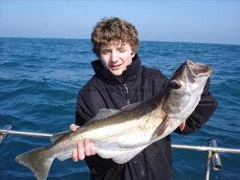 11 lb Pollock by James