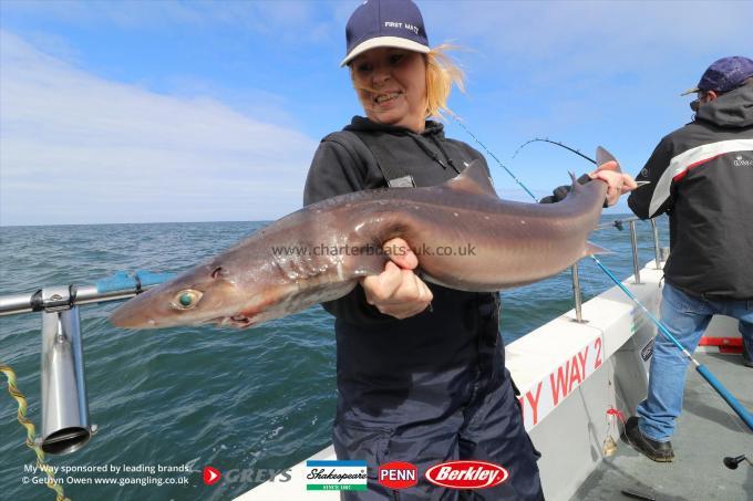 15 lb Spurdog by Steph