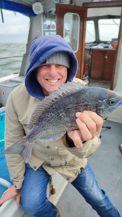 1 lb Black Sea Bream by Sean