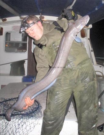 16 lb Conger Eel by Tom Morgan