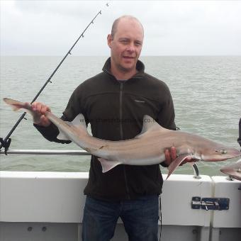15 lb 5 oz Starry Smooth-hound by Phil Mayo