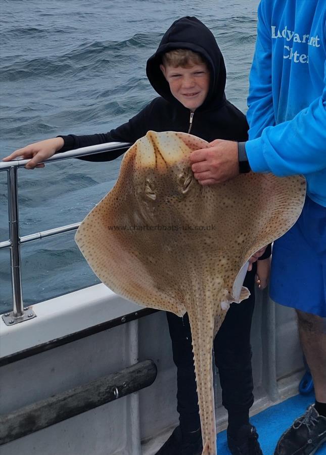 15 lb Blonde Ray by Rio