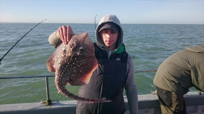 6 lb 8 oz Thornback Ray by Dan from Kent