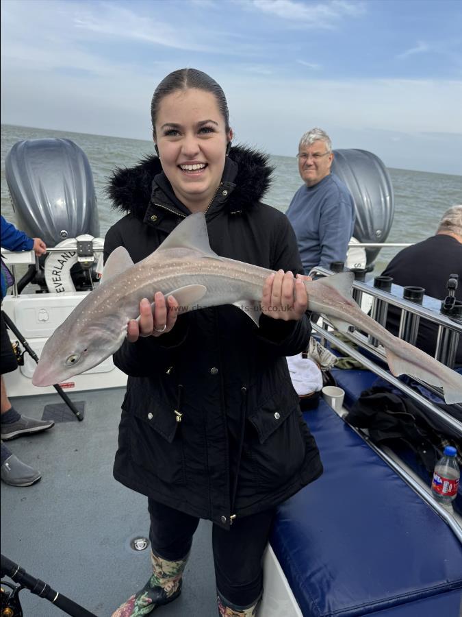 9 lb Starry Smooth-hound by Jamilla